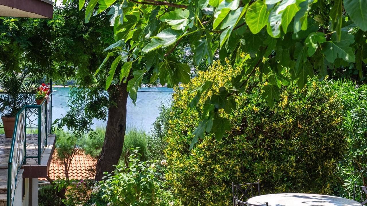 Photo of Outdoor in Bakarac