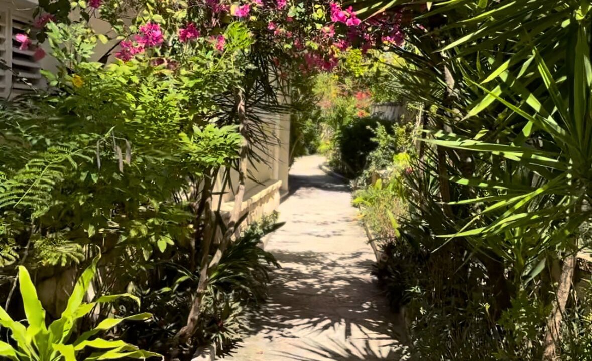 Photo of Outdoor in Willikies