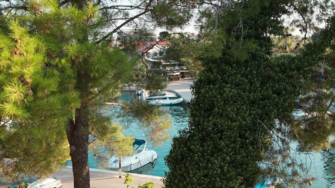 Photo of Others in Porat