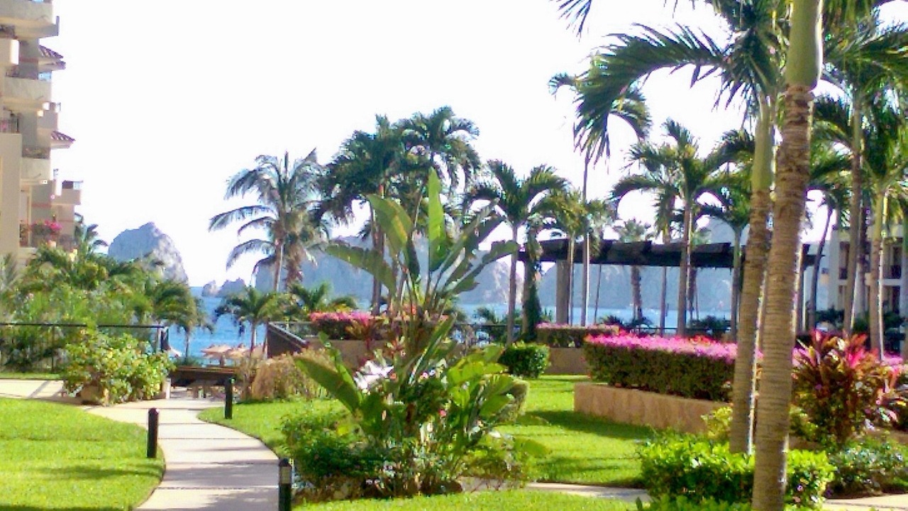 Photo of Others in Cabo San Lucas