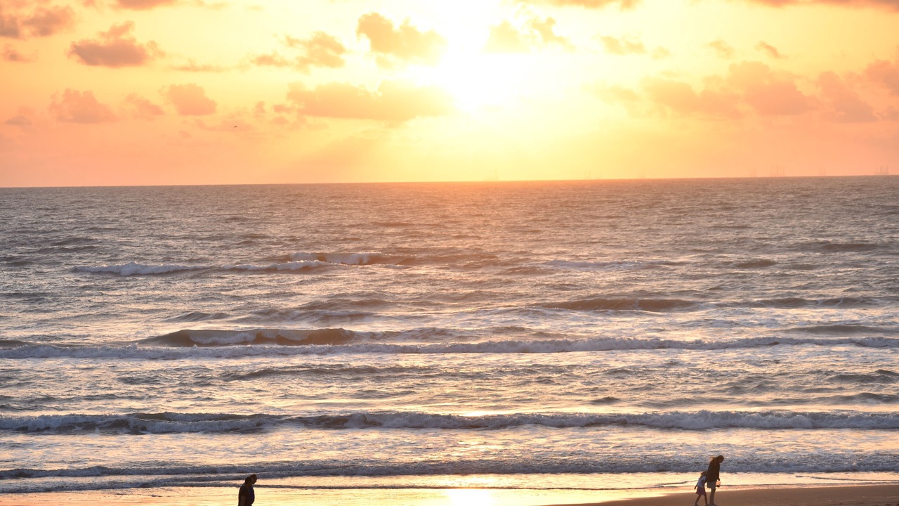 Photo of Others in South Padre Island