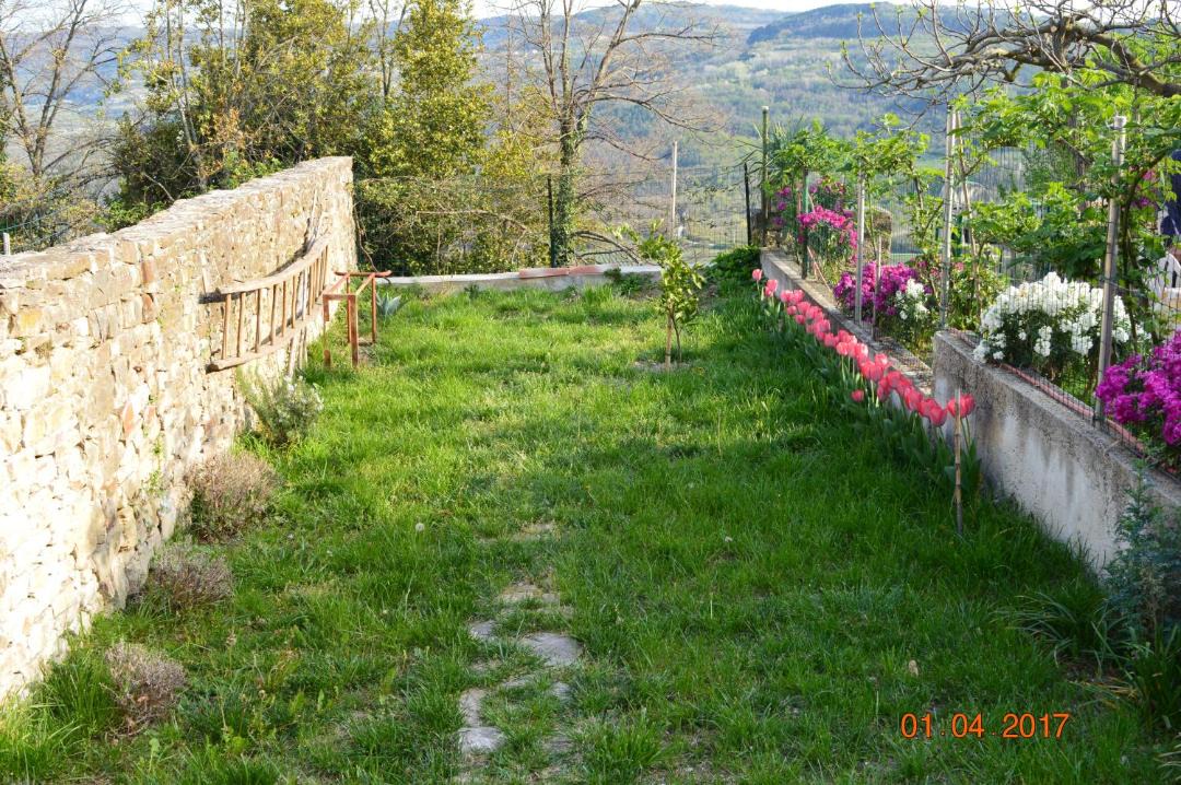 Photo of Others in Motovun