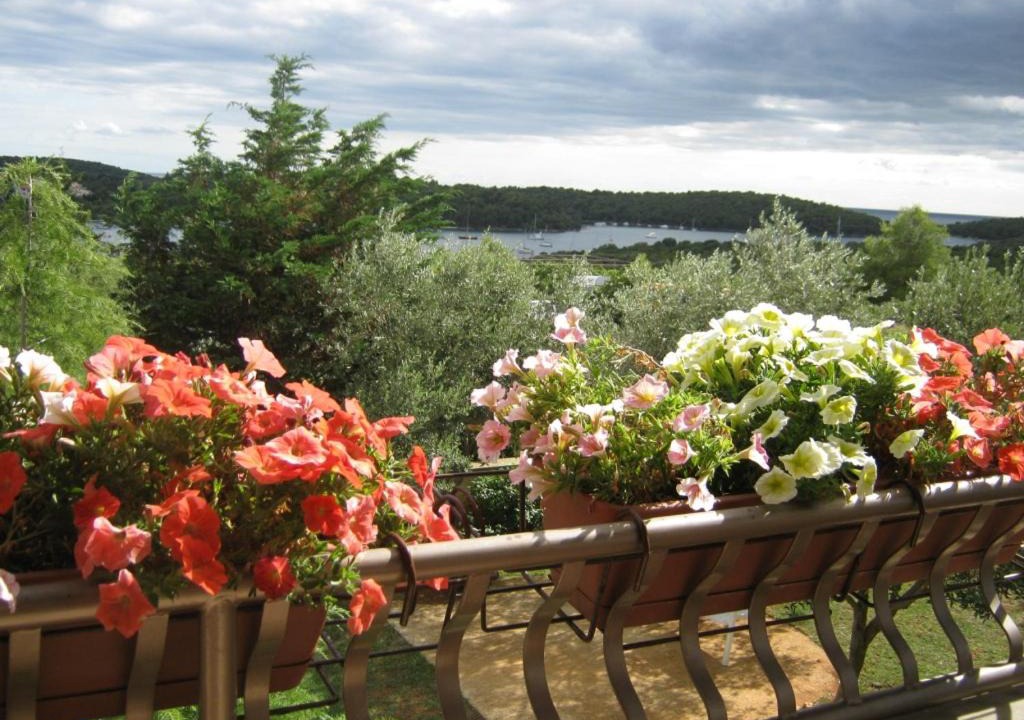 Photo of Patio Balcony in Vinkuran