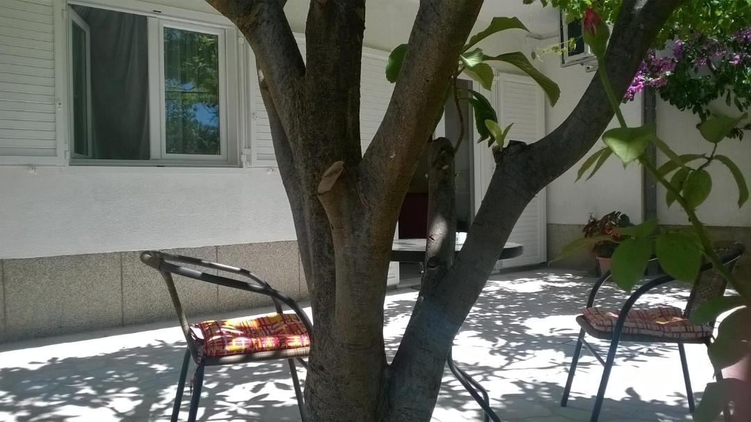 Photo of Others in Omis