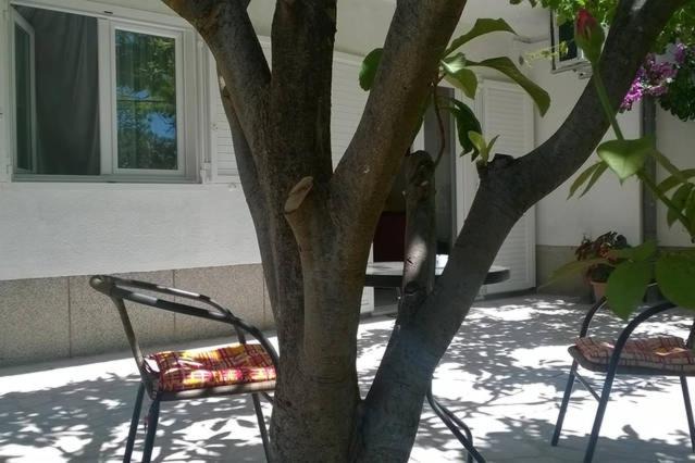 Photo of Others in Omis