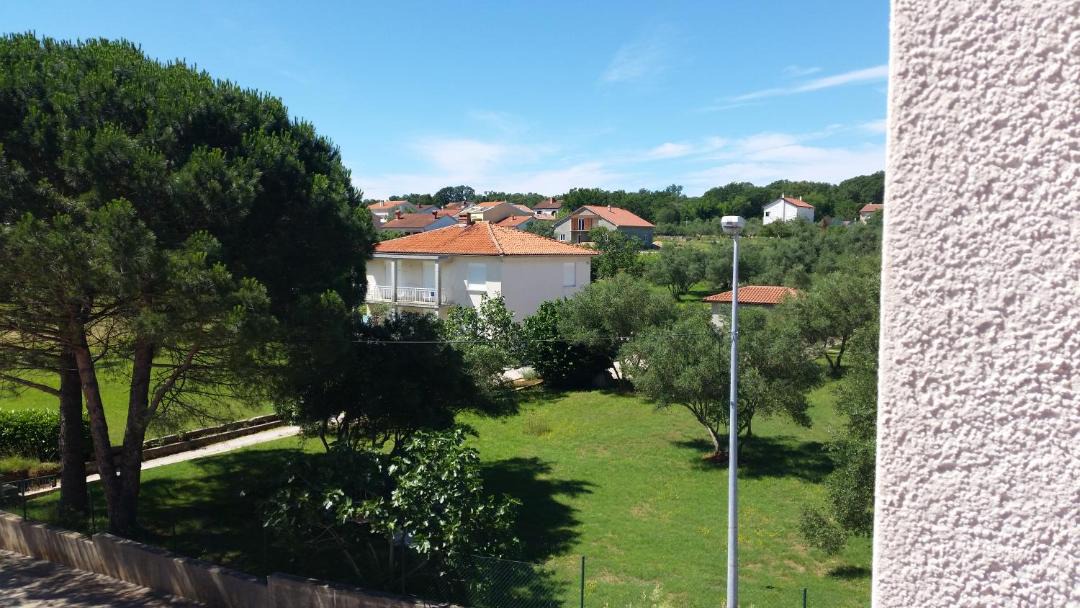 Photo of Others in Porat