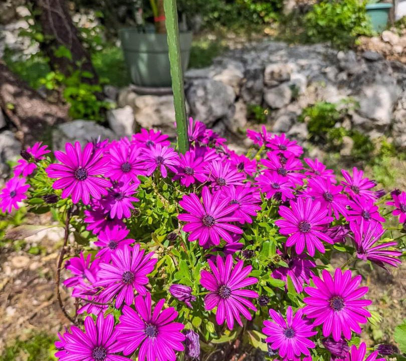 Photo of Outdoor in Kraljevica