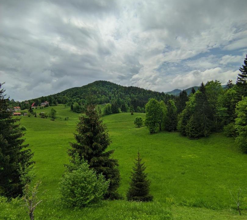 Photo of Others in Brestova Draga