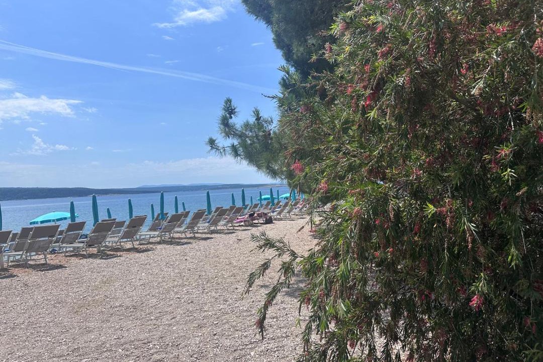 Photo of Others in Crikvenica