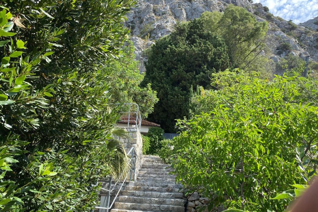 Photo of Others in Borak