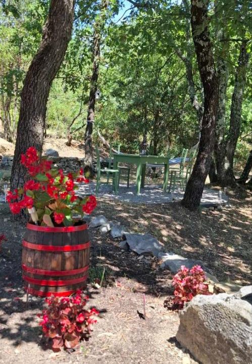 Photo of Outdoor in Buzet