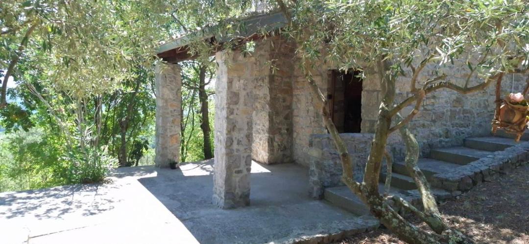 Photo of Others in Buzet