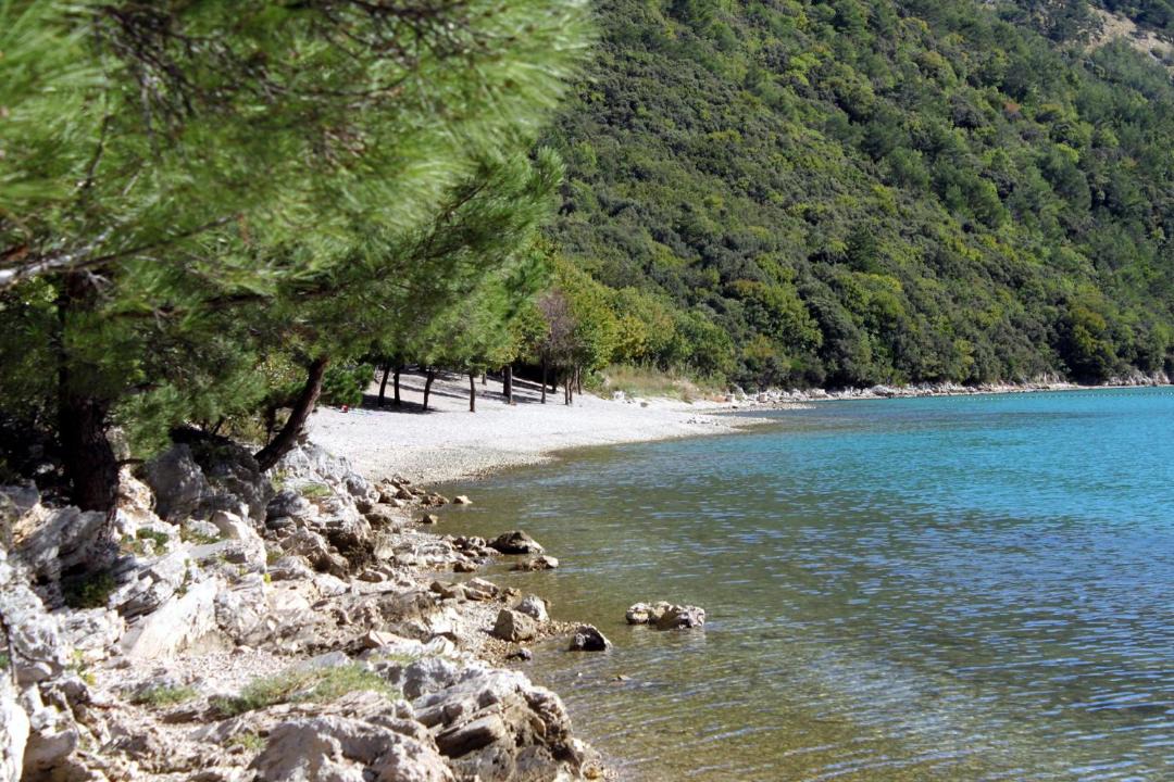 Photo of Others in Nedescina