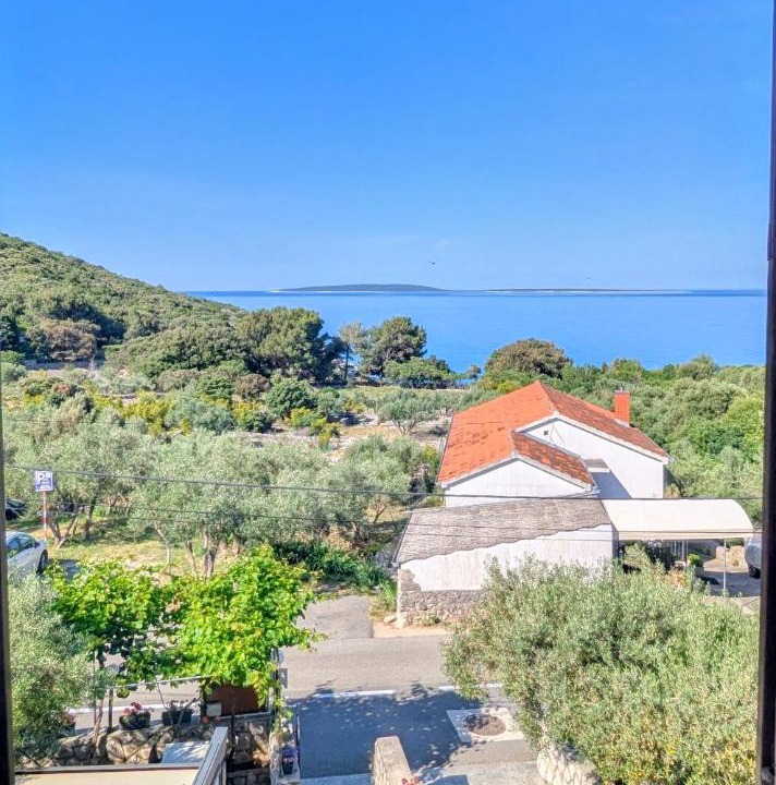 Photo of Others in Miholascica