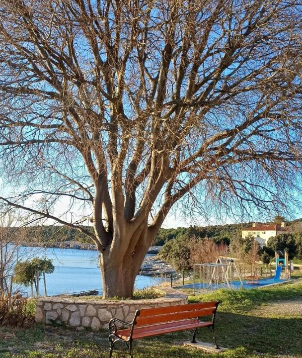Photo of Others in Viskovici