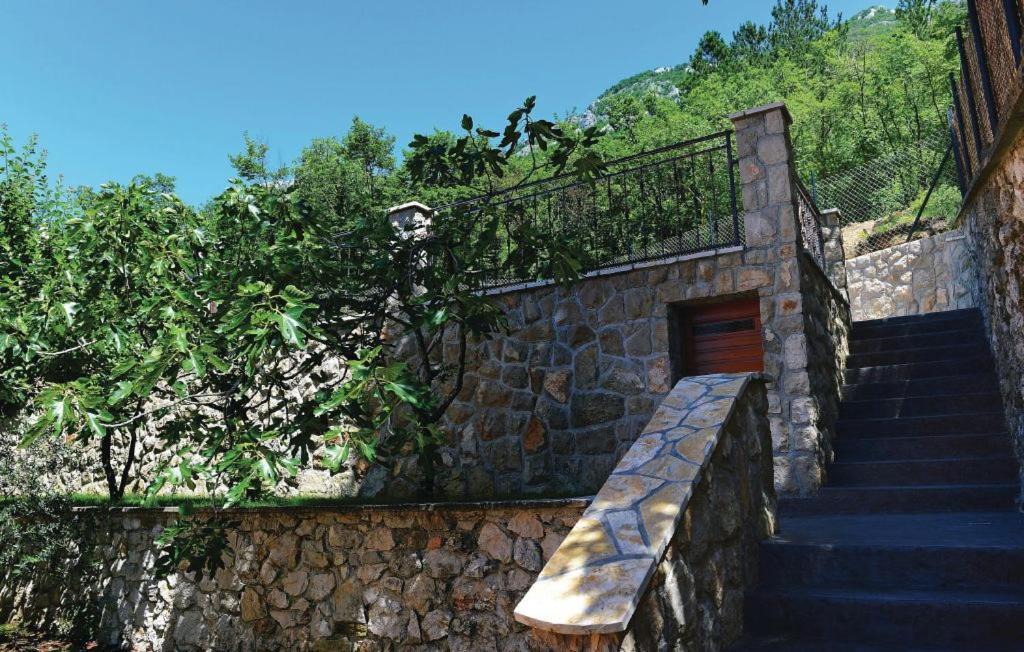 Photo of Others in Kozljak