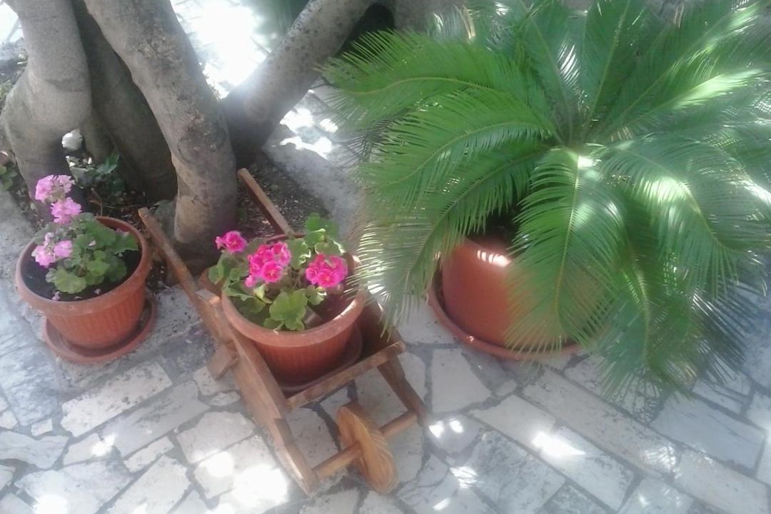 Photo of Others in Bribir