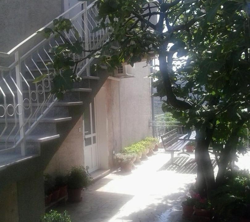 Photo of Others in Bribir