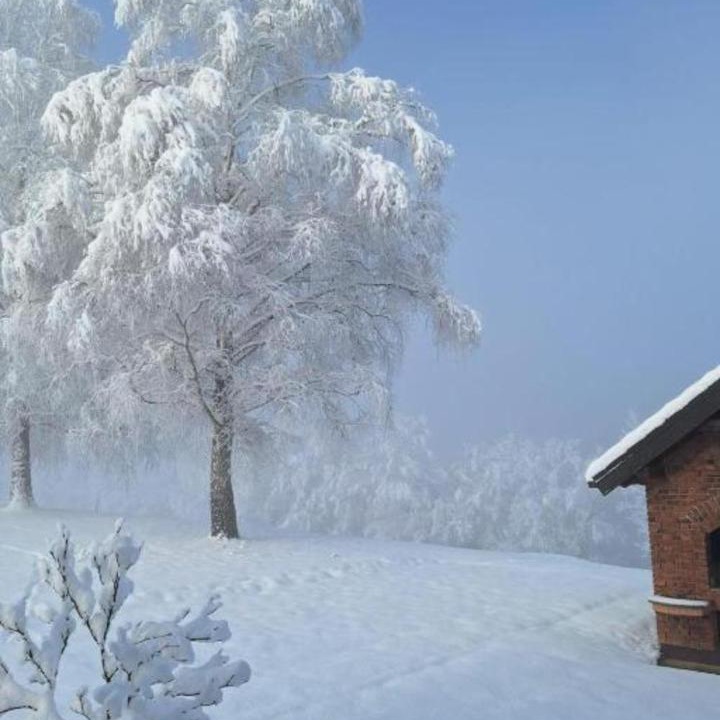Photo of Others in Bosiljevo