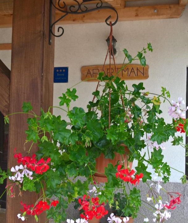Photo of Others in Vrbovsko