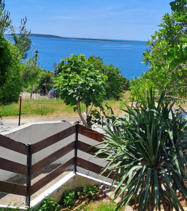 Photo of Others in Miholascica