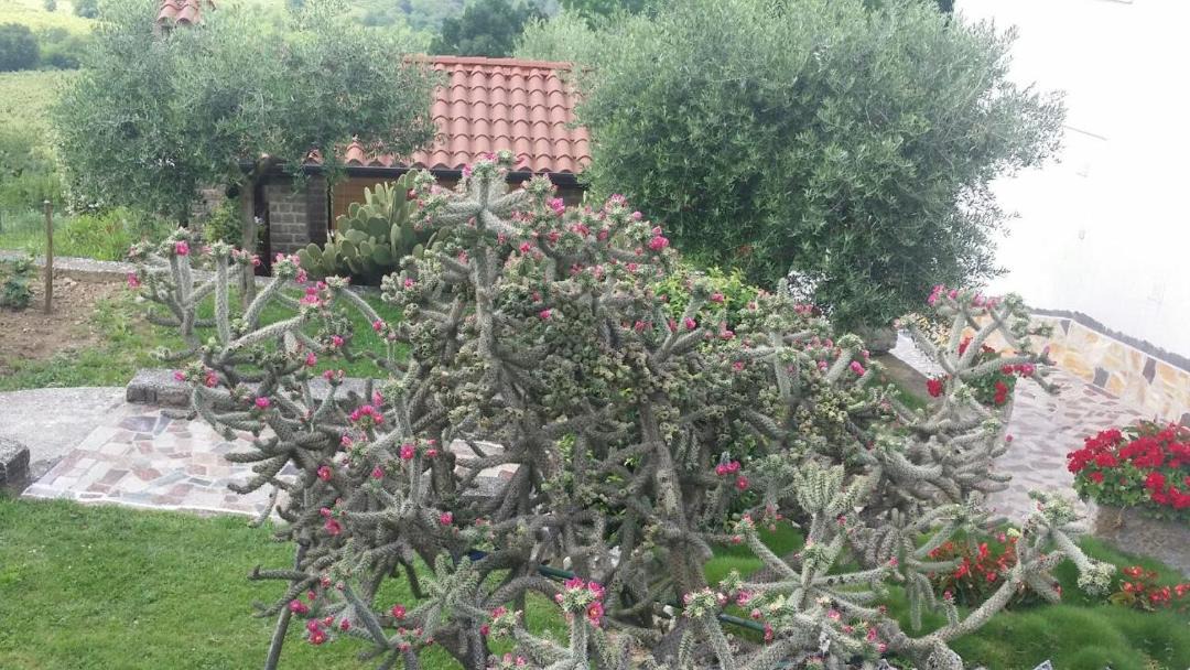 Photo of Others in Motovun