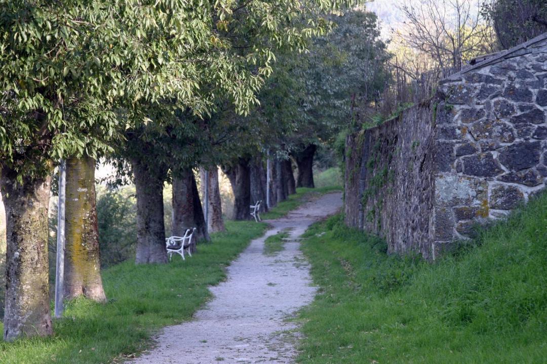 Photo of Others in Buzet