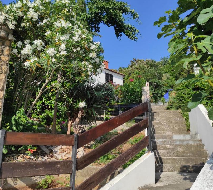 Photo of Others in Miholascica
