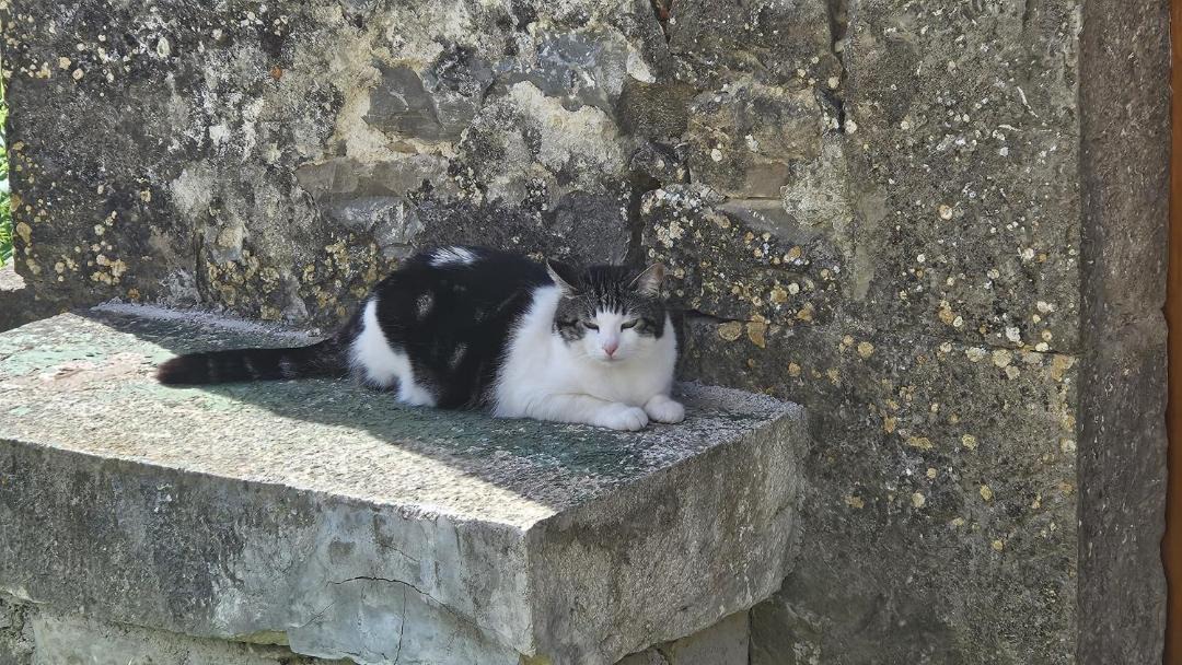 Photo of Others in Sveti Bartol