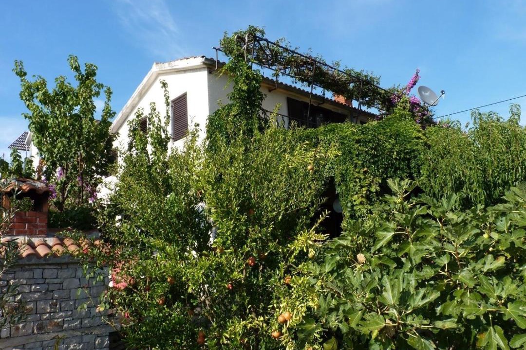 Photo of Others in Maslinica