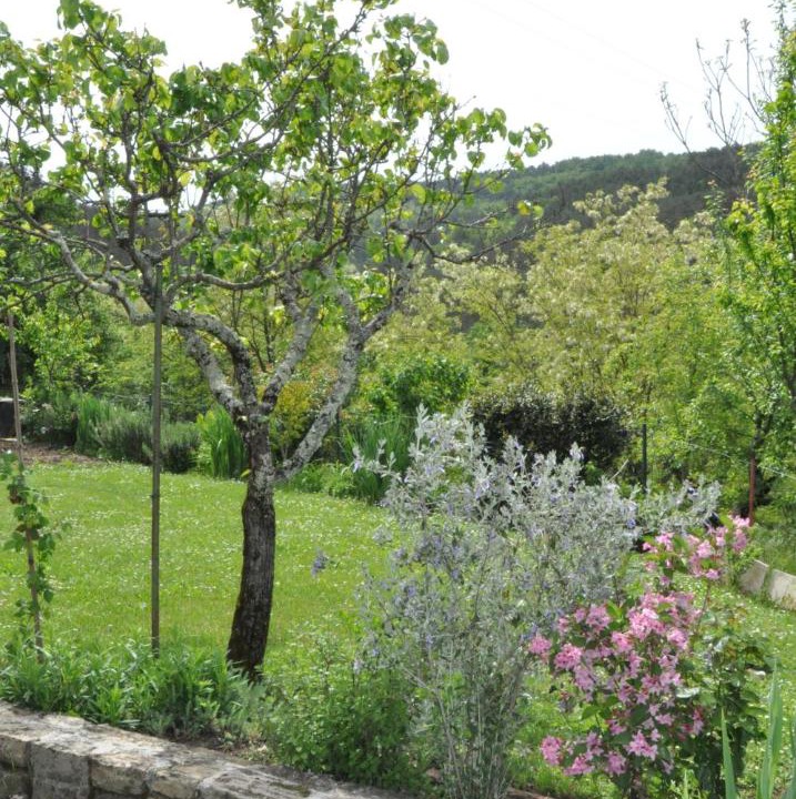 Photo of Others in Buzet