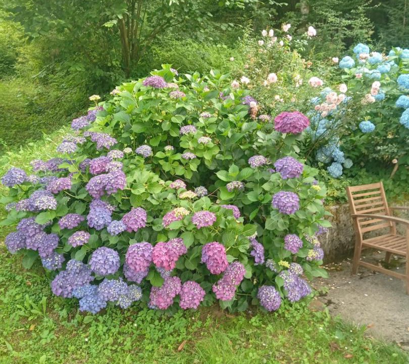 Photo of Outdoor in Brod na Kupi