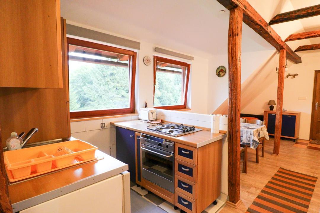 Photo of Kitchen in Ravna Gora