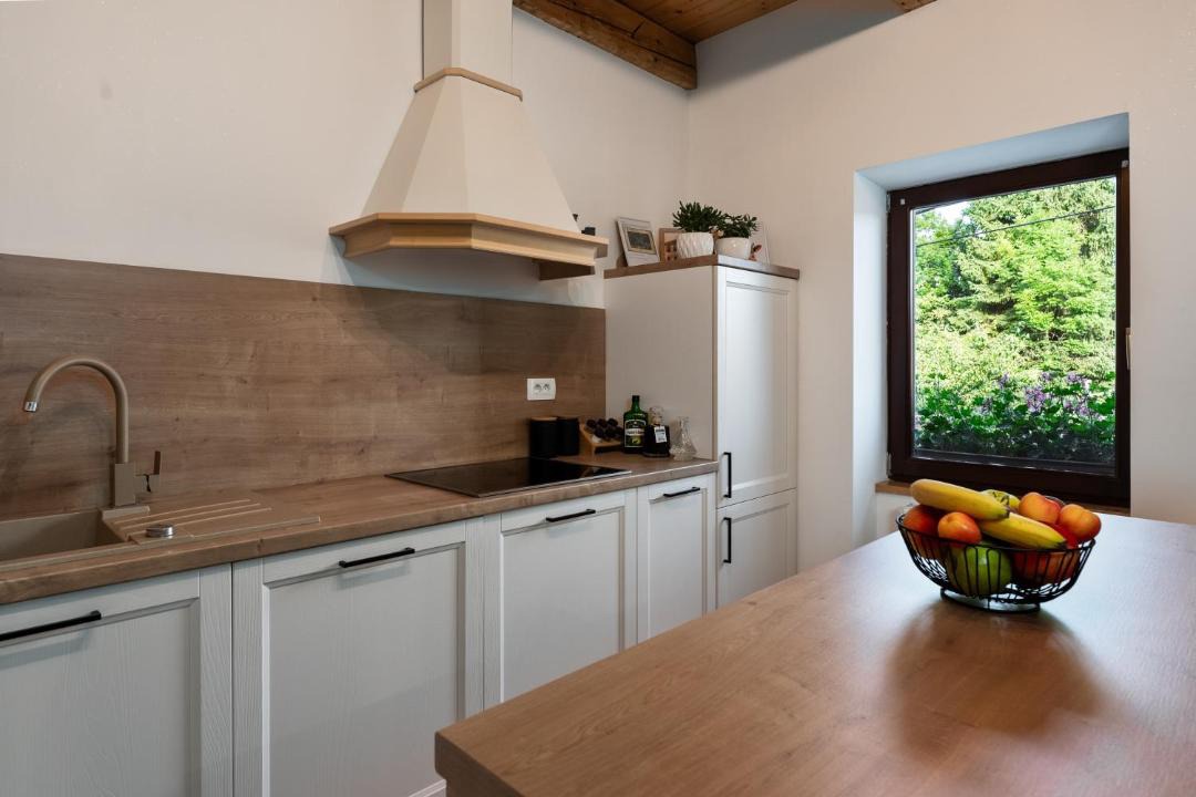 Photo of Kitchen in Lokve