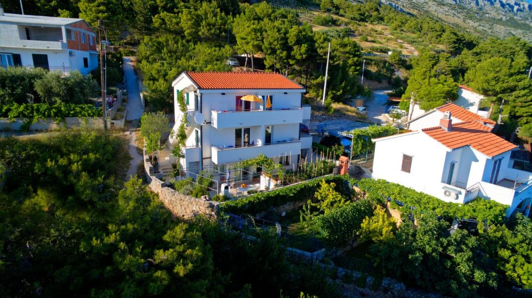 Photo of Others in Marusici