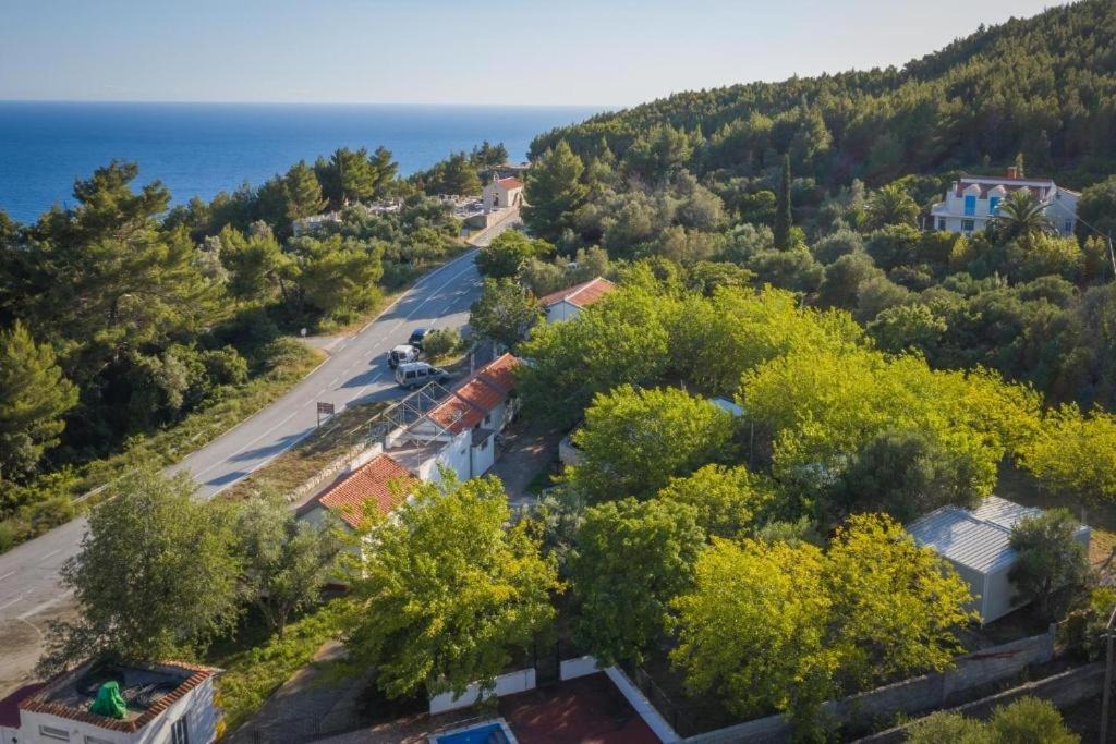 Photo of Others in Mljet