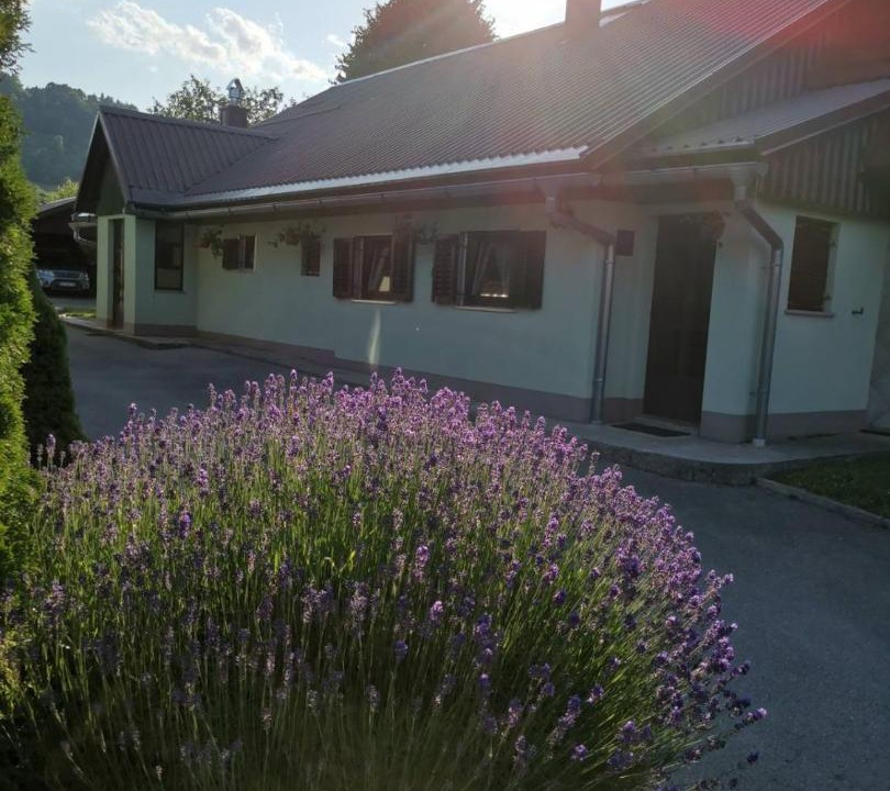 Photo of Others in Mrkopalj