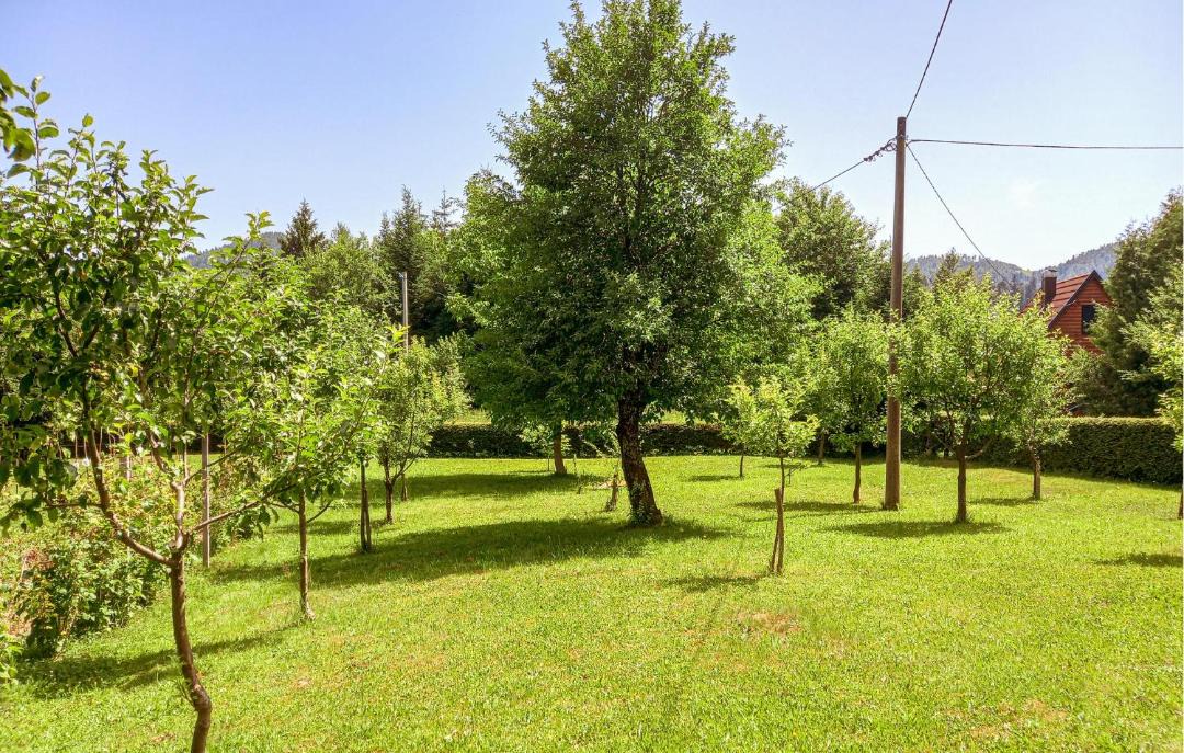 Photo of Outdoor in Lokve