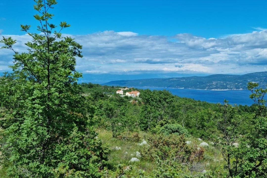 Photo of Outdoor in Ripenda Kosi