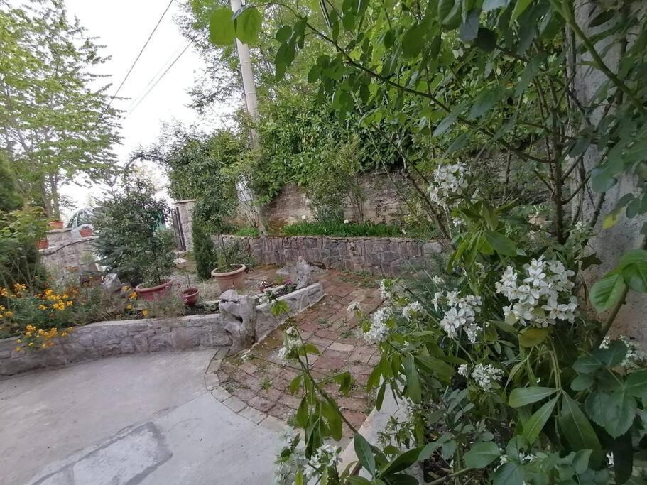 Photo of Others in Veprinac