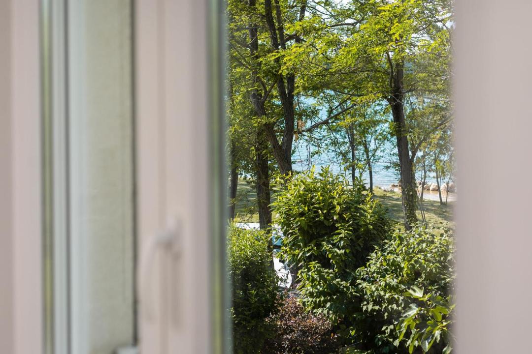 Photo of Others in Soline