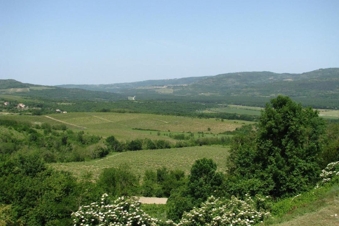 Photo of Others in Motovun