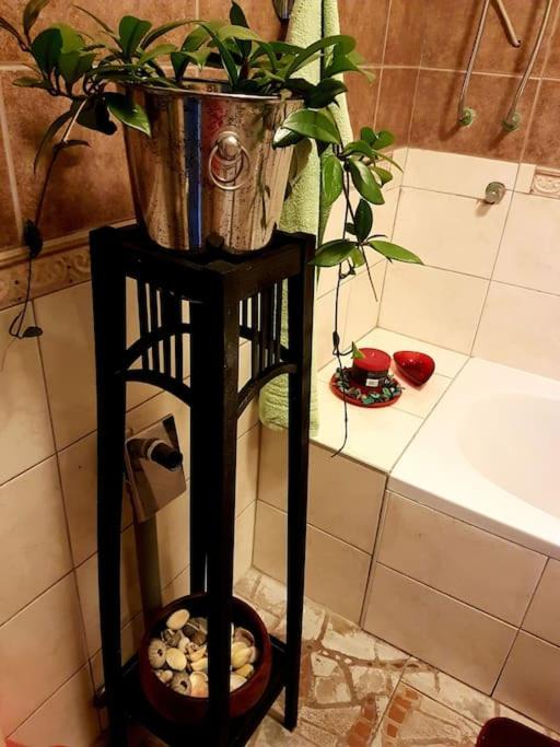 Photo of Bathroom in Bakar