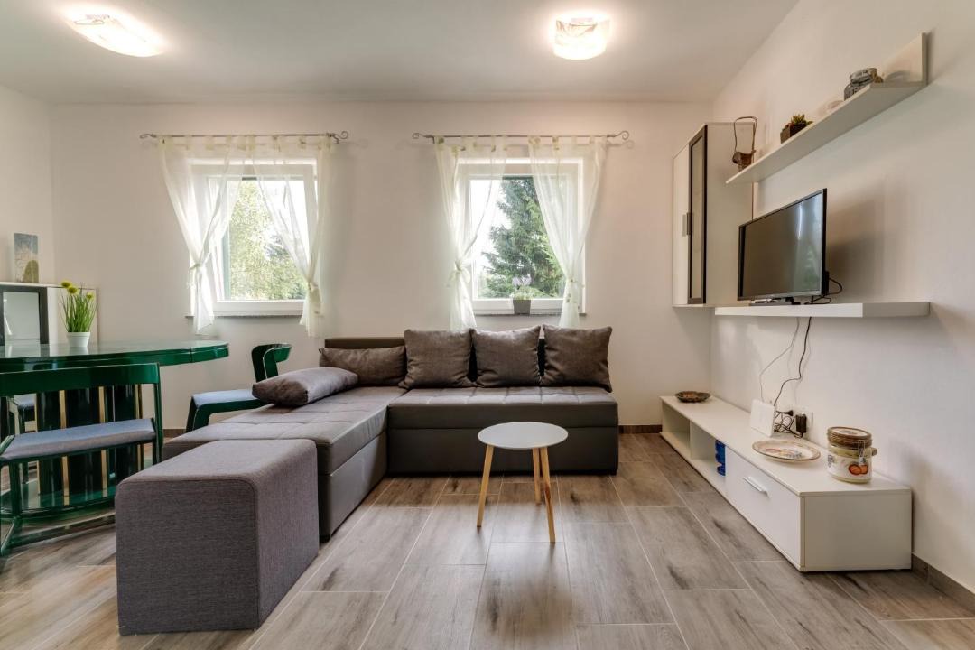 Photo of Livingroom in Fuzine