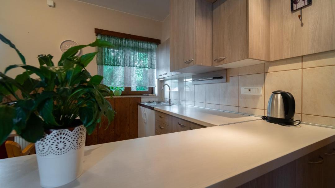 Photo of Kitchen in Fuzine