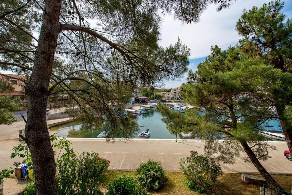 Photo of Others in Porat