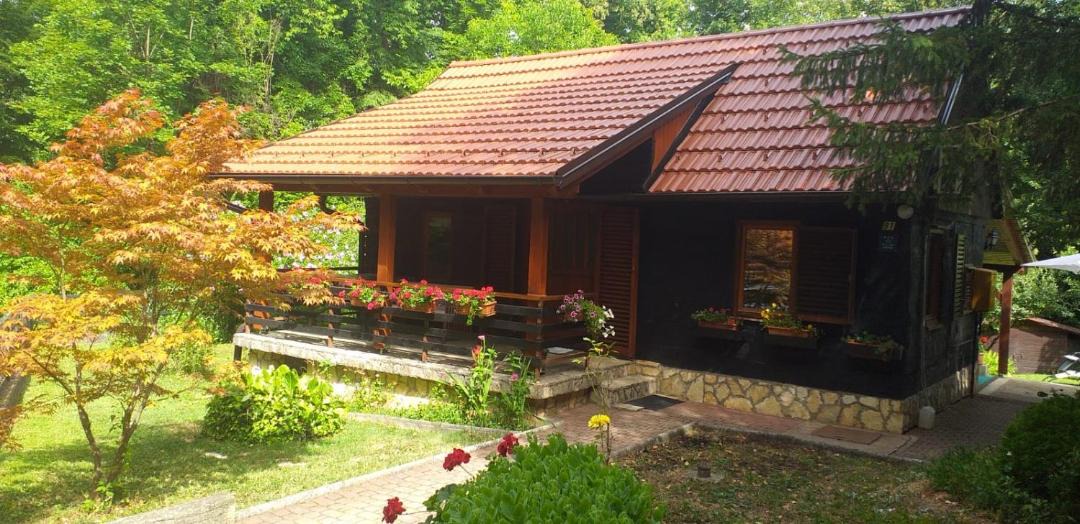 Photo of Others in Kraljevec Sesvetski