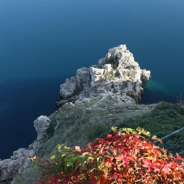 Photo of Others in Vrbnik