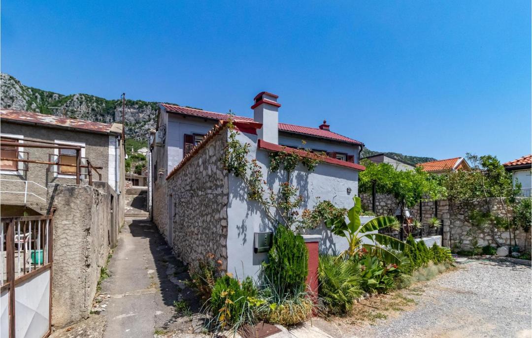 Photo of Others in Bribir