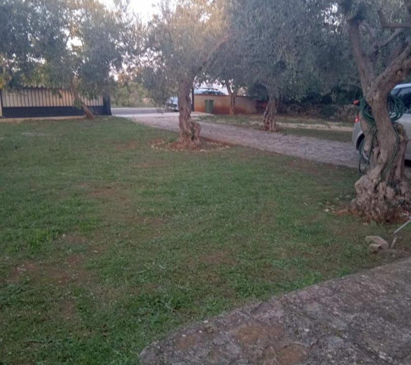 Photo of Outdoor in Mali Vareski
